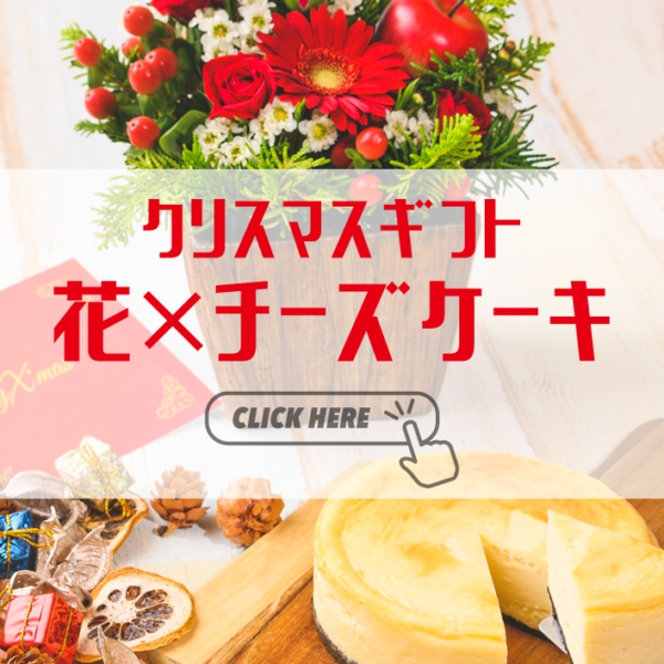 【チーズ料理専門店の贈り物】花×チーズケーキのクリスマスギフト！？