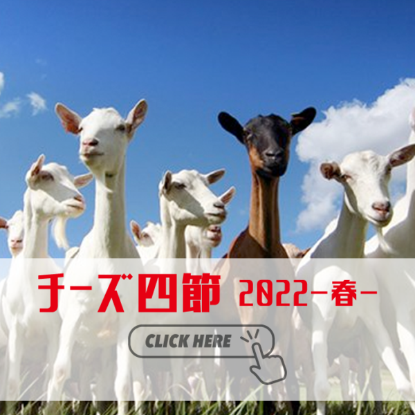 チーズ四節(2022〜春〜)